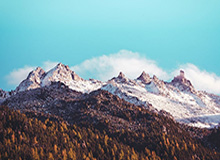 屡禁不止，西班牙人球迷朝场内扔水瓶击中赫罗纳门将加萨尼加